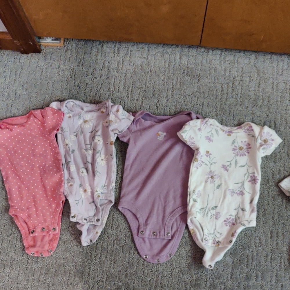 Carter's Pink and Purple Floral Bodysuit Set